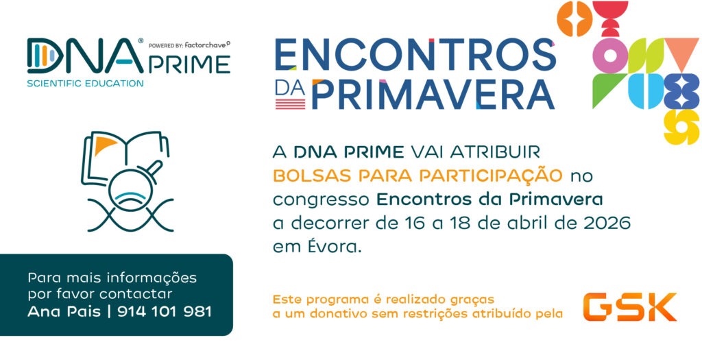 Bolsas de inscrição - GSK